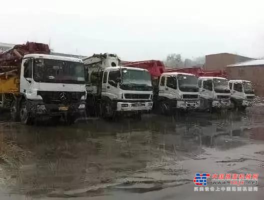 三一:张柯丨寒冬中的和煦暖阳