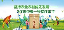 划重点，2019年中央一号文件，工程机械行业人士必看内容