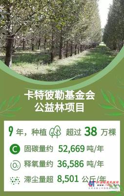 植树节|卡特彼勒和春天不变的约定