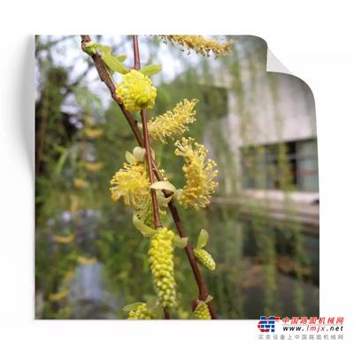 与春色撞个满怀—邂逅三一重机