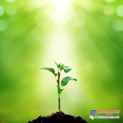 植下一棵树，收获万点绿