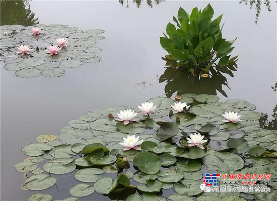 方圆五月情