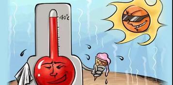 炎炎夏日丨山猫带你清凉一“夏”！
