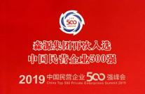 森源集团再次入选中国民营企业500强
