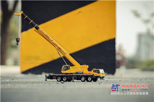 官宣：万众期待的“柳工仓”，上线倒计时五天！