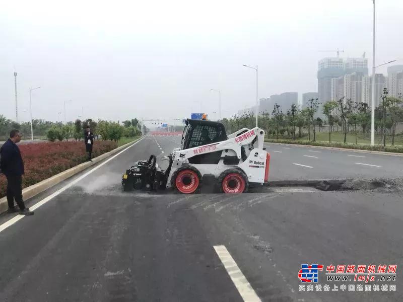 山猫无处不在，为这些美图加油助威！