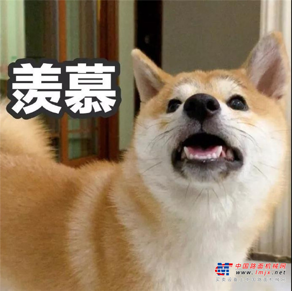 你眼中的三一红是什么样的？