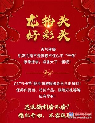 卡特彼勒：龙抬头，好彩头！
