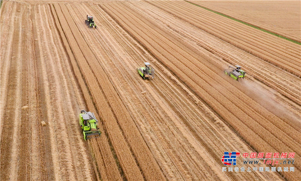 中联重科高端智能农机助力三夏 描绘金黄麦田绿色风景线