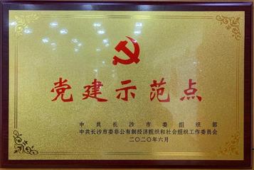 祝贺！三一集团党委荣获长沙市