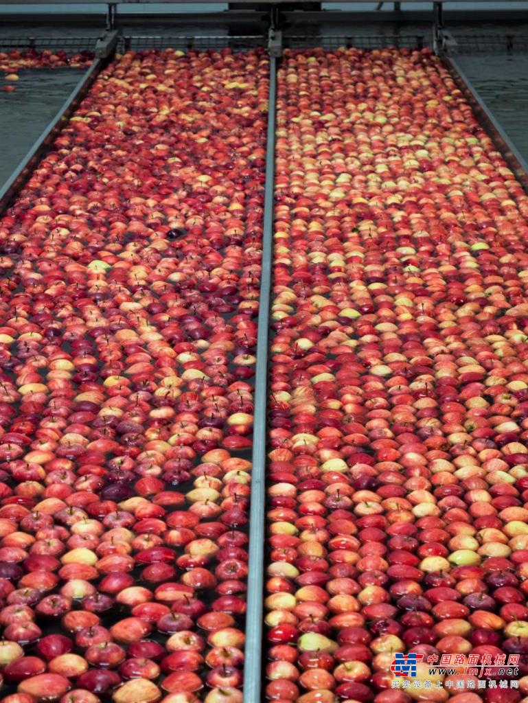 海外探情：比亚迪叉车助力英国水果包装企业减小叉车车队规模