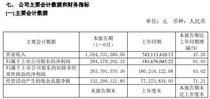 艾迪精密2020年上半年净利2.94亿增长62% 