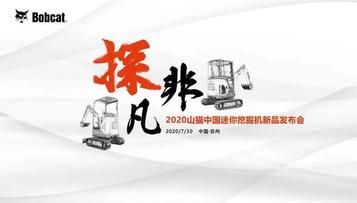 大胆预测山猫“新丁”的赚钱能力！