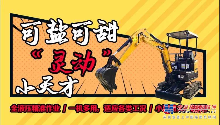 	三一专供的洋马发动机，确保三一微挖SY16C在恶劣工况下工作的可靠性；意大利进口主泵和主阀，再配上日本进口回转马达和行走马达，确保液压系统的超高可靠性。