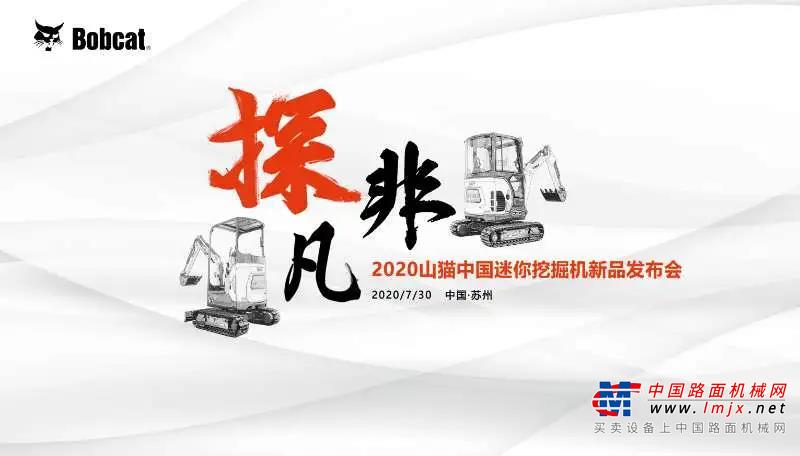 这一年，也许你已收获满满，也许你有愿望尚未实现，也许你有遗憾留存心间。但只要付出了拼搏与努力，便不负这一路勇往！至此元旦到来之际，山猫愿各位收拾心情，迎接崭新的里程。