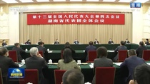 王岐山胡春华参加湖南代表团审议，梁稳根作为代表在会上发言