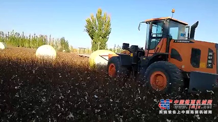 机械化作业|英轩装载机支持新疆棉花