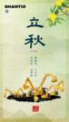 山重•节气 | 凉风有信，一叶知秋