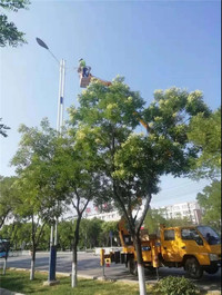 中交西筑：致敬城市追光者，点亮城市之光