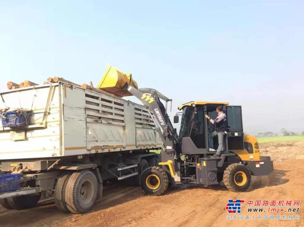 在泰国春武里某著名棕榈油加工厂，徐工LW156FV、LW186FV装载机如勤劳的蜜蜂一般，可靠、高效地执行着棕榈果的铲运作业。