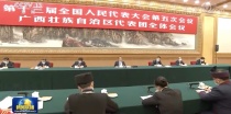 李克强总理参加广西代表团审议，玉柴许燕妮发言