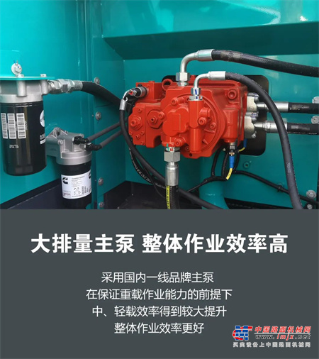 	点击下方 了解详情