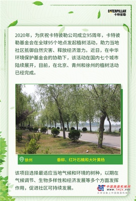 卡特彼勒基金会全球植树活动在国内七个城市陆续展开