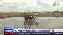 中联重科央视新闻直播间丨机械抛秧显身手 探索种植新方式