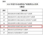 常德市产业集群挺进“国家队” 中联重科专精特新“小巨人”助力