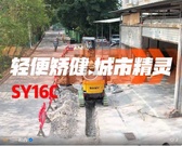 直击现场|三一微挖 “双子星” 硬核实力强势出圈！