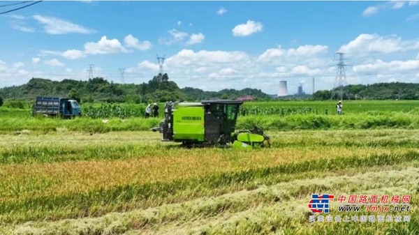 湖南“双抢”大幕开启，中联重科农机实力助阵!