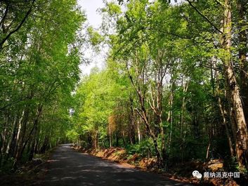戴納派克明星搭檔閃亮長白山北坡國防公路