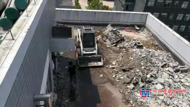 山猫：身强力不亏，硬核小设备！