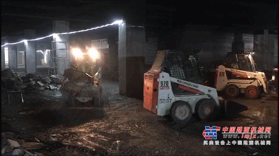 名副其实“招财猫”！