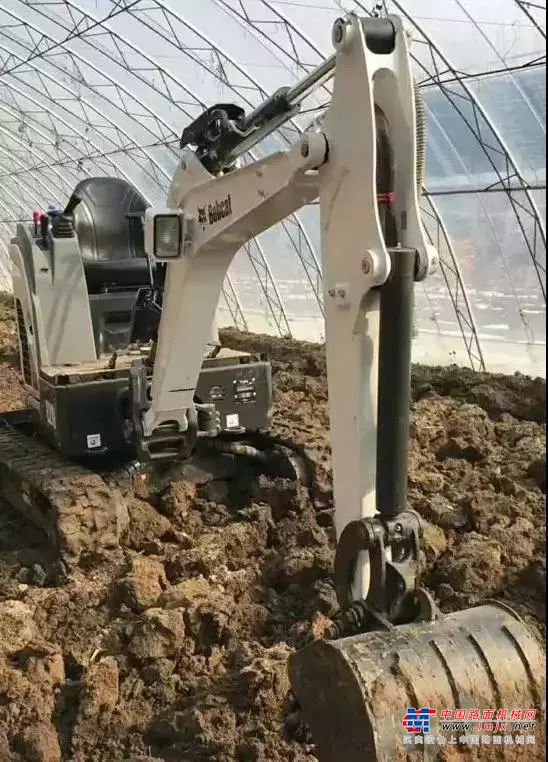 名副其实“招财猫”！
