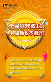 TA来了！双11无套路，直击你的心脏