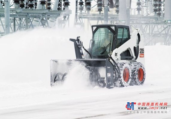 每次下雪，都会想起“撒欢”的山猫们……