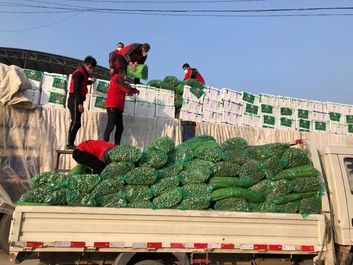 馳援武漢，臨工集團捐贈150噸蔬菜已發出