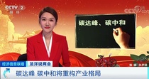 碳达峰、碳中和，将重新定义经济版图！看懂了，你就赢在未来！
