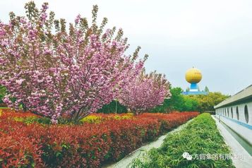 【管理提升】方圆集团组织各单位负责人观摩检查各单位管理工作