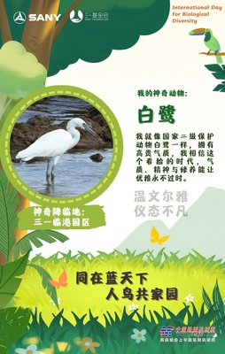 三一版神奇动物在哪里？在这里！