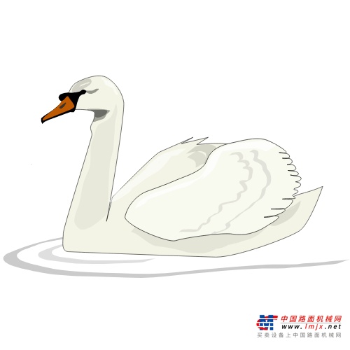 	结果他们只是远远看着
