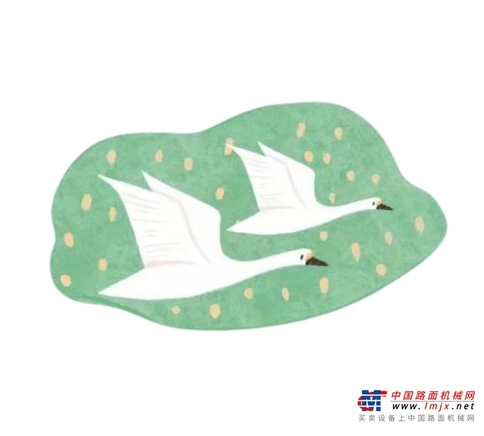 	“是凤头䴙䴘吧！”一个小朋友兴奋地说道。“凤头䴙䴘是松雅湖的明星鸟类，放眼望去的正是䴙䴘妈妈带着小䴙䴘在水里活动，我们可以看见小䴙䴘它没有羽冠，是早成性鸟。”大羊老师纠正补充道。