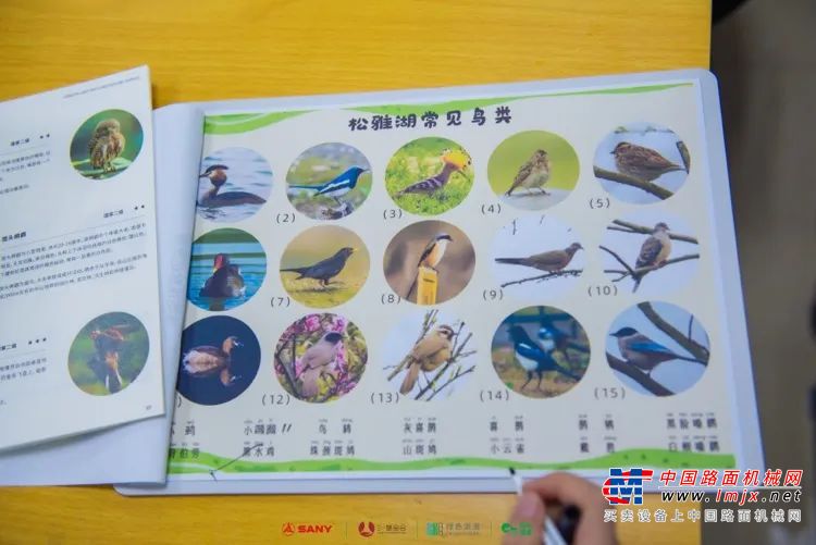 	以为我的安稳生活要结束了