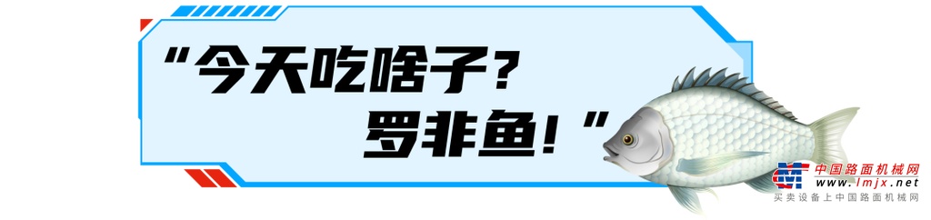 今天吃啥子？罗非鱼！