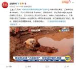 庞大又无助！骆驼陷泥潭民警调挖掘机吊车救援