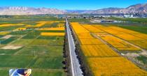 我国将启动新一轮农村公路建设改造 2025年农村公路网络进一步完善