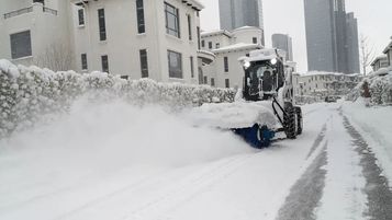小雪来到，山猫驾到！