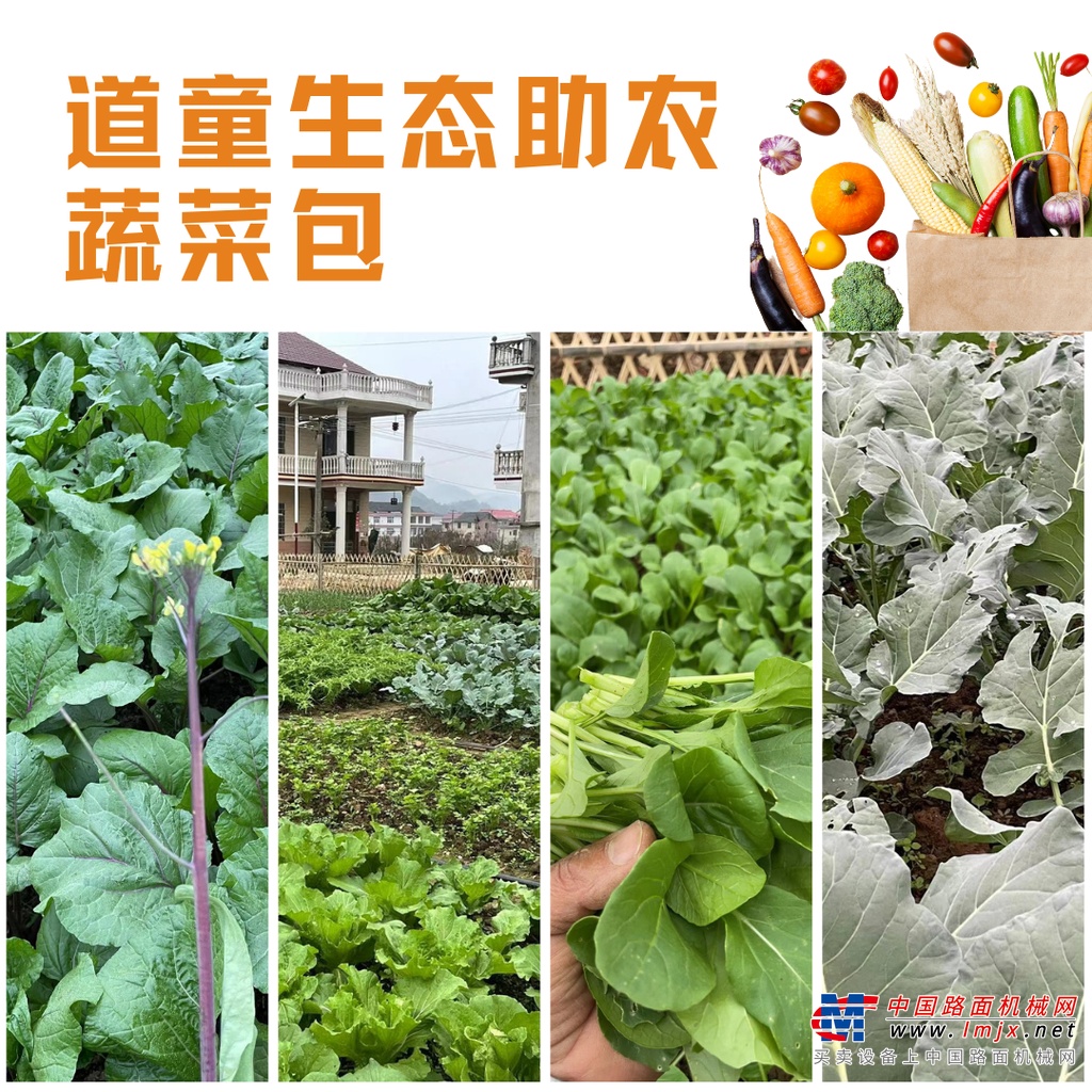 	但忙碌的生活让我无从行动？