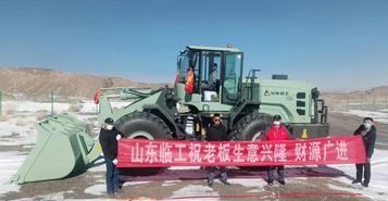 臨工大噸位電裝“登上”青藏高原